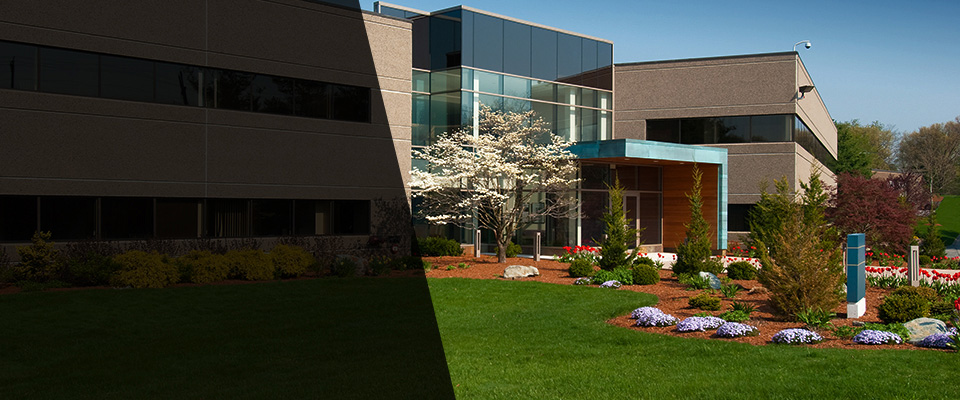 Yuba City Landscapers