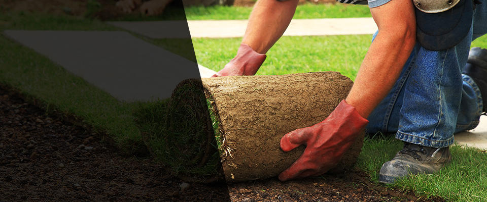 Yuba City Landscapers